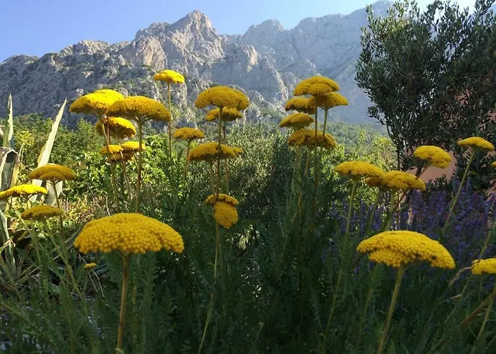 شقة Bella Vista *